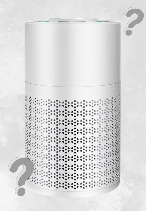 photo of happy women